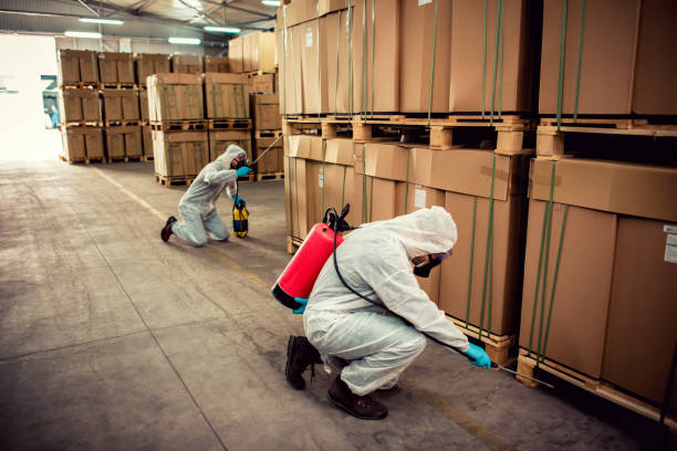 Best Pest Control Near Me  in New Cumberland, WV