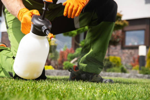 Best Best Pest Control Companies  in New Cumberland, WV