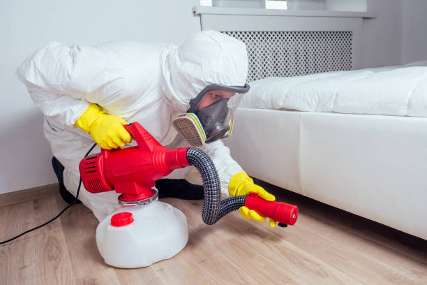 Best Wasp Removal Services  in New Cumberland, WV