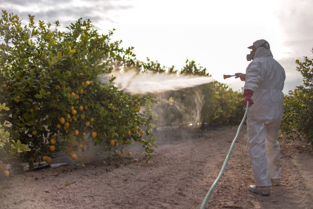 Best Pest Inspection Near Me  in New Cumberland, WV