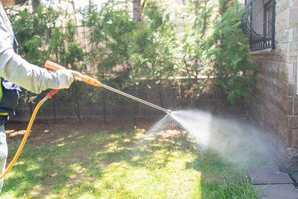 Best Pest Prevention Services  in New Cumberland, WV